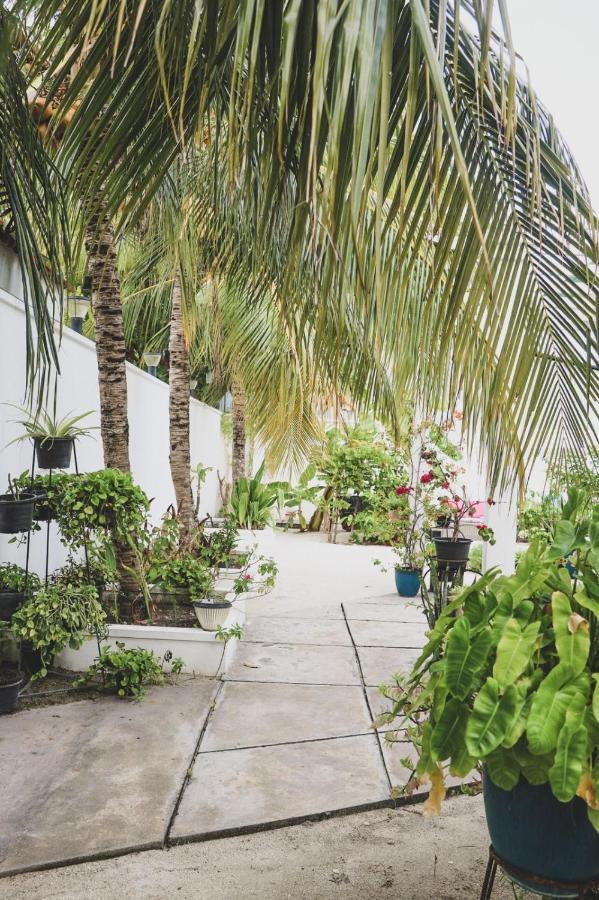 Fiyala Homestay Addu City Εξωτερικό φωτογραφία